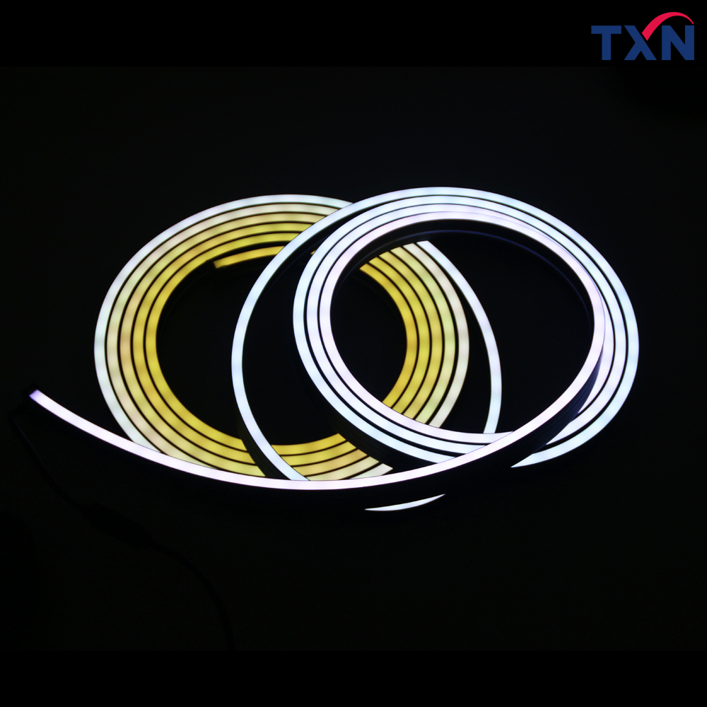 TXN LED Neon Tube Lighting.jpg